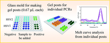 Graphical abstract: A miniaturized and integrated gel post platform for multiparameter PCR detection of herpes simplex viruses from raw genital swabs