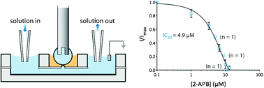 Graphical abstract: Ion channel drug potency assay with an artificial bilayer chip
