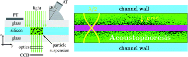 Graphical abstract: Measuring acoustic energy density in microchannel acoustophoresis using a simple and rapid light-intensity method