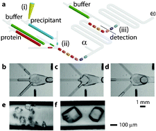 Graphical abstract: Iterative operations on microdroplets and continuous monitoring of processes within them; determination of solubility diagrams of proteins