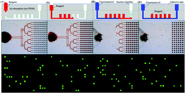 Graphical abstract: Self-priming compartmentalization digital LAMP for point-of-care