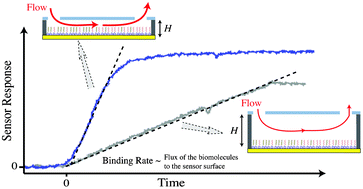 Graphical abstract: Enhancement of affinity-based biosensors: effect of sensing chamber geometry on sensitivity