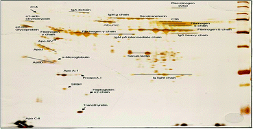 Graphical abstract: Proteomic analysis of protein adsorption capacity of different haemodialysis membranes