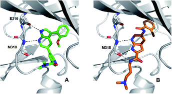 Graphical abstract: De novo design, synthesis and pharmacological evaluation of new azaindole derivatives as dual inhibitors of Abl and Src kinases