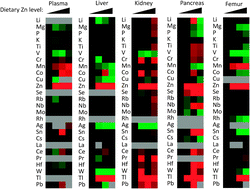 Graphical abstract: Reduction of liver manganese concentration in response to the ingestion of excess zinc: identification using metallomic analyses