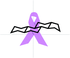 Graphical abstract: Anticancer steroids: linking natural and semi-synthetic compounds