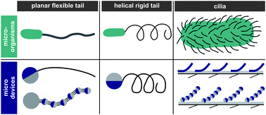 Graphical abstract: Bio-inspired magnetic swimming microrobots for biomedical applications