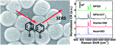 Graphical abstract: Surface-enhanced Raman spectroscopy with monolithic nanoporous gold disk substrates