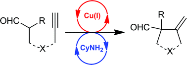 Graphical abstract: Copper(i)–amine metallo-organocatalyzed synthesis of carbo- and heterocyclic systems