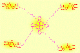 Graphical abstract: Towards dual photodynamic and antiangiogenic agents: design and synthesis of a phthalocyanine-chalcone conjugate