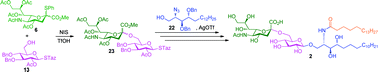Graphical abstract: The total synthesis of a ganglioside Hp-s1 analogue possessing neuritogenic activity by chemoselective activation glycosylation