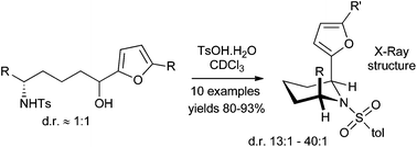 Graphical abstract: Furanyl cyclic amines: a diastereoselective synthesis of 2,6-syn-disubstituted piperidines under thermodynamic control