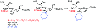 Graphical abstract: A simple synthesis of N-perfluoroacylated and N-acylated glycals of neuraminic acid with a cyclic aminic substituent at the 4α position as possible inhibitors of sialidases