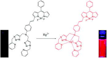 Graphical abstract: A BODIPY-based colorimetric and fluorometric chemosensor for Hg(ii) ions and its application to living cell imaging