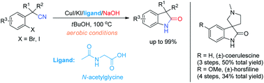 Graphical abstract: Copper-catalyzed domino coupling reaction: an efficient method to synthesize oxindoles