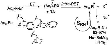 Graphical abstract: Nucleophilic substitution of bromonorbornenes and derivatives by electron transfer reactions