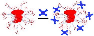 Graphical abstract: Multivalent glycoclusters constructed by chiral self-assembly of mannose functionalized perylene bisimide