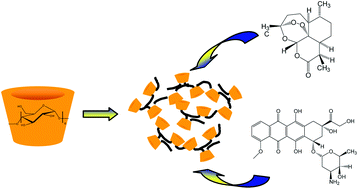 Graphical abstract: β-Cyclodextrin polymer nanoparticles as carriers for doxorubicin and artemisinin: a spectroscopic and photophysical study