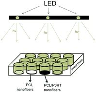 Graphical abstract: Electrospun photosensitive nanofibers: potential for photocurrent therapy in skin regeneration