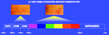 Graphical abstract: Effects of ultraviolet radiation, visible light, and infrared radiation on erythema and pigmentation: a review
