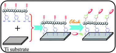 Graphical abstract: Poly(dopamine acrylamide)-co-poly(propargyl acrylamide)-modified titanium surfaces for ‘click’ functionalization
