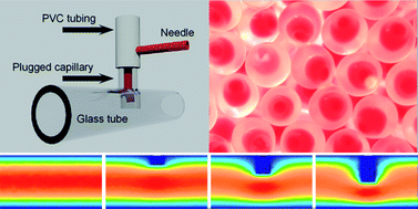Graphical abstract: A simple microfluidic device for fabrication of double emulsion droplets and polymer microcapsules