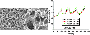 Graphical abstract: Biodegradable, pH-sensitive P(CL-Pluronic-CL-co-MAA-MEG) hydrogel for 5-aminosalicylic acid delivery