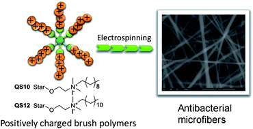Graphical abstract: Preparation of quaternized organic–inorganic hybrid brush polyphosphazene-co-poly[2-(dimethylamino)ethyl methacrylate] electrospun fibers and their antibacterial properties