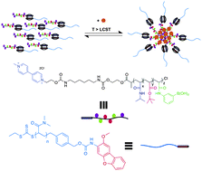 Graphical abstract: Triggered insulin release studies of triply responsive supramolecular micelles