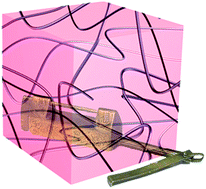 Graphical abstract: Hydrogels locked by molecular recognition aiming at responsiveness and functionality