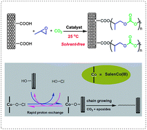 Graphical abstract: Functionalization of carbon nanotubes by surface-initiated immortal alternating polymerization of CO2 and epoxides