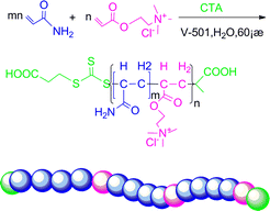 Graphical abstract: Well-defined cationic polyacrylamides with dot-charges: synthesis via an aqueous living RAFT polymerization, characterization, and intrinsic viscosity