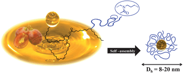 Graphical abstract: Synthesis and self-assembly of amphiphilic polymers based on polyoxazoline and vegetable oil derivatives