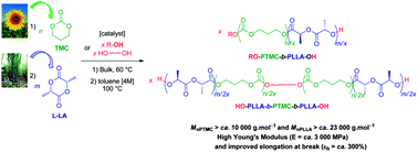 Graphical abstract: Macromolecular engineering via ring-opening polymerization (1): l-lactide/trimethylene carbonate block copolymers as thermoplastic elastomers