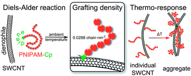 Graphical abstract: Modular ambient temperature functionalization of carbon nanotubes with stimuli-responsive polymer strands