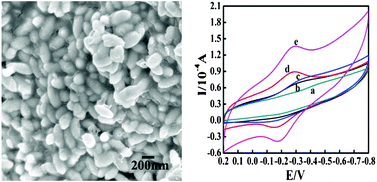 Graphical abstract: Electrochemistry and electrocatalysis of myoglobin on carbon coated Fe3O4 nanospindle modified carbon ionic liquid electrode