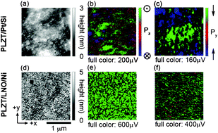 Graphical abstract: Effect of stress state on the domain configuration and switching behavior in ferroelectric thin films