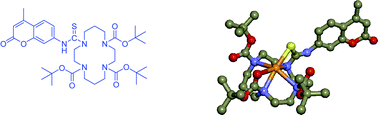 Graphical abstract: A cyclam-type “turn on” fluorescent sensor selective for mercury ions in aqueous media