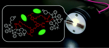 Graphical abstract: High color rendering white light-emitting diodes based on a green silicate phosphor mixed with a red dye-bridged hybrid