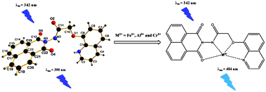 Graphical abstract: A naphthalimide–quinoline based probe for selective, fluorescence ratiometric sensing of trivalent ions