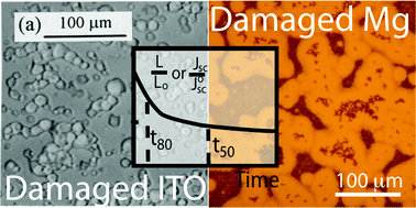 Graphical abstract: Interfacial degradation in organic optoelectronics