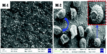 Graphical abstract: Development of polyurethane–titania nanocomposites as dielectric and piezoelectric material
