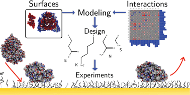 Graphical abstract: Decoding nonspecific interactions from nature