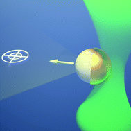 Graphical abstract: Harnessing thermal fluctuations for purposeful activities: the manipulation of single micro-swimmers by adaptive photon nudging