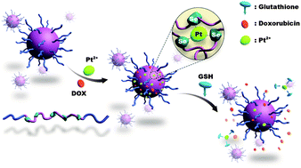 Graphical abstract: Coordination-responsive selenium-containing polymer micelles for controlled drug release
