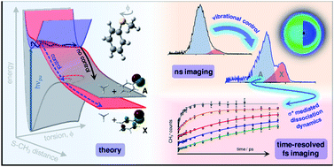Graphical abstract: Exploring quantum phenomena and vibrational control in σ* mediated photochemistry