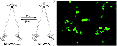 Graphical abstract: Incorporation of DOPE into lipoplexes formed from a ferrocenyl lipid leads to inverse hexagonal nanostructures that allow redox-based control of transfection in high serum