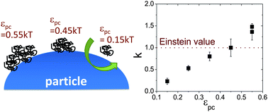 Graphical abstract: Super- and sub-Einstein intrinsic viscosities of spherical nanoparticles in concentrated low molecular weight polymer solutions