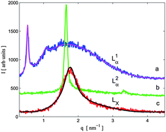 Graphical abstract: Collapse and coacervation of a lamellar phase by inter-headgroup bridging