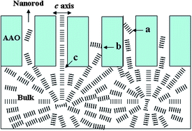 Graphical abstract: Isotactic polystyrene nanorods with gradient crystallite states